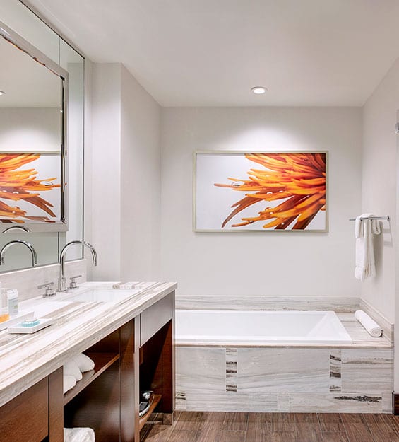 Interior of Premium King Suite Bathroom & Vanity