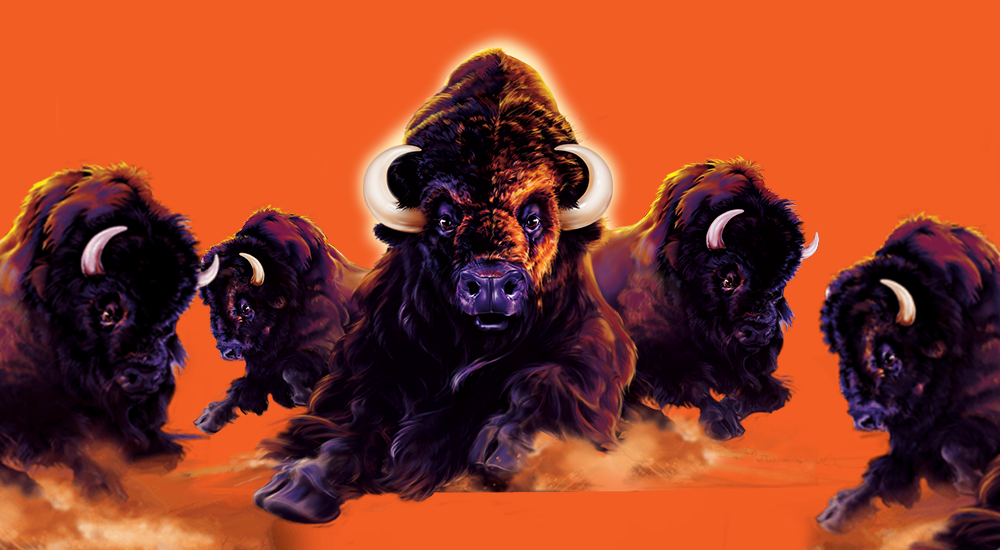 Best of Buffalo Hero Image